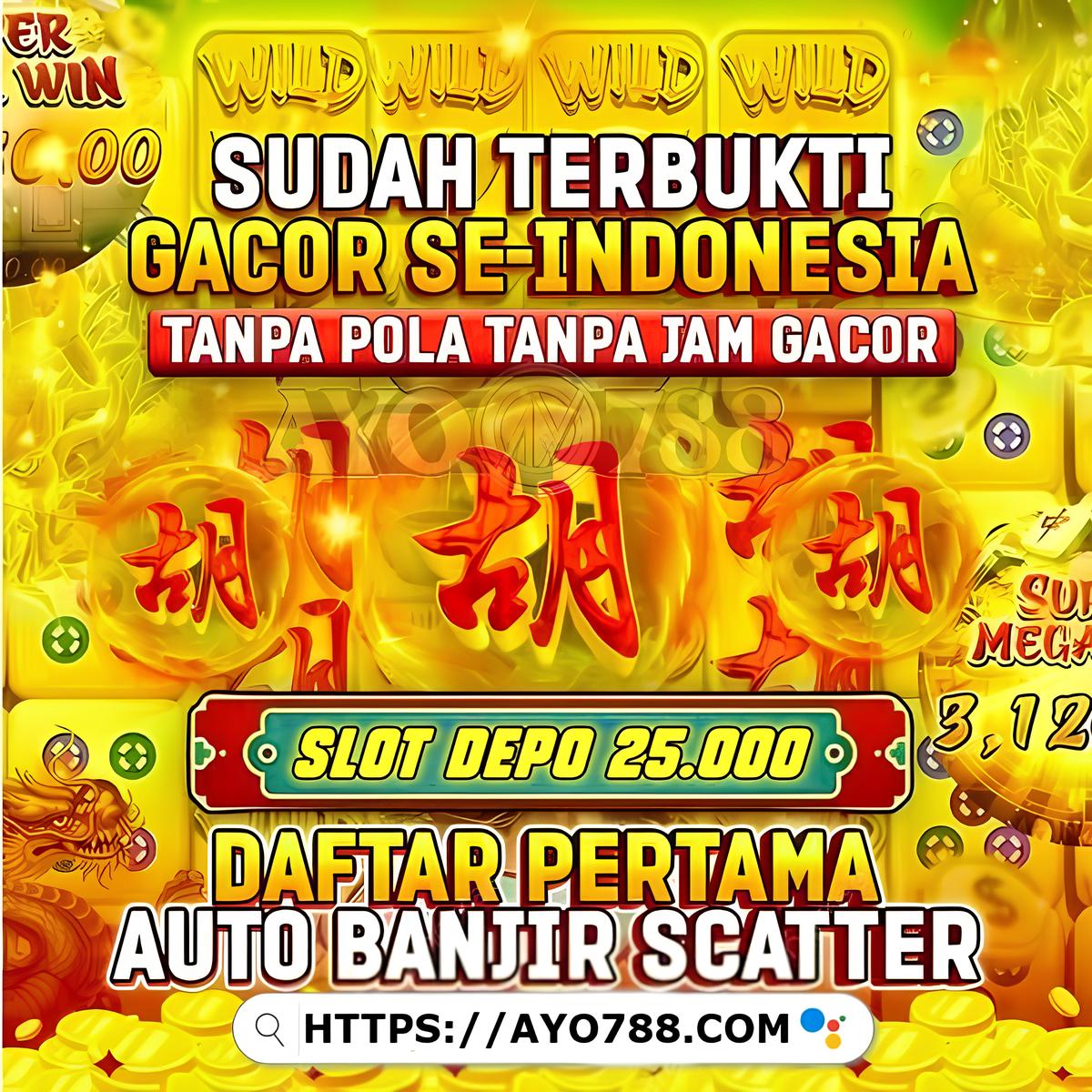 AYO788